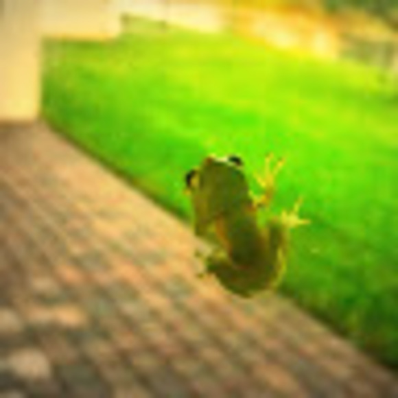 Meet your Posher, Valerie - Picture 1 of 1